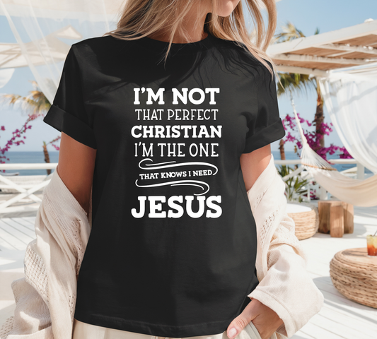 198. I'm Not that Perfect Christian